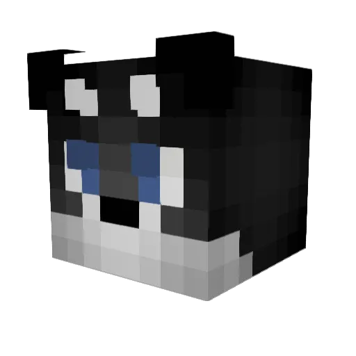 diamonddigger123 Minecraft avatar head, 3D render