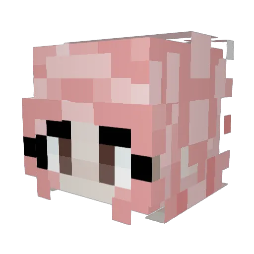 diamonddigger89 Minecraft avatar head, 3D render