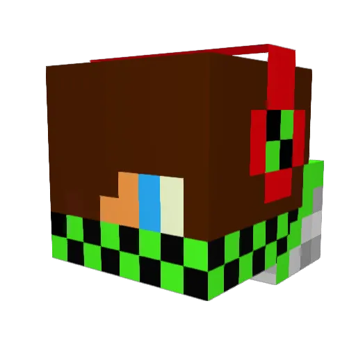 diamonddude543 Minecraft avatar head, 3D render