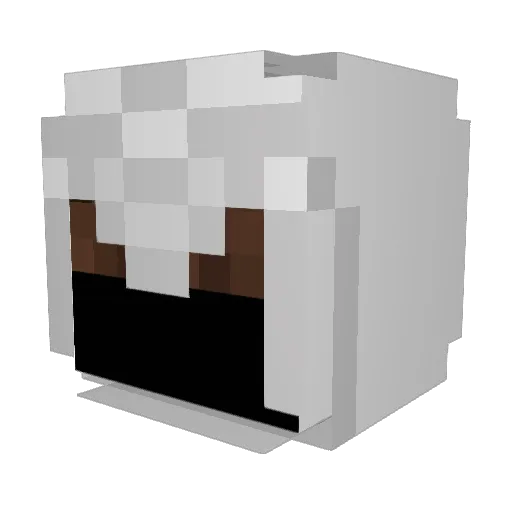 diamonder123 Minecraft avatar head, 3D render