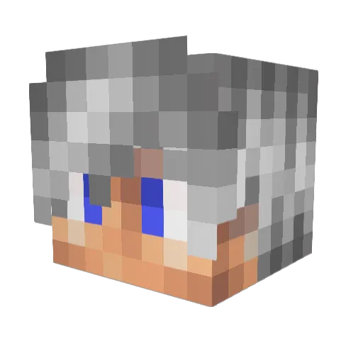diamondhunter223 Minecraft avatar head, 3D render