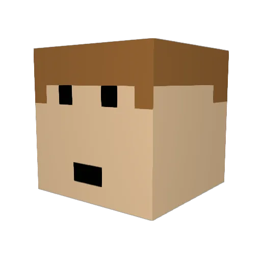 diamondhunter65 Minecraft avatar head, 3D render