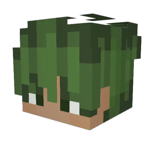 diamondkhe Minecraft avatar head, 3D render