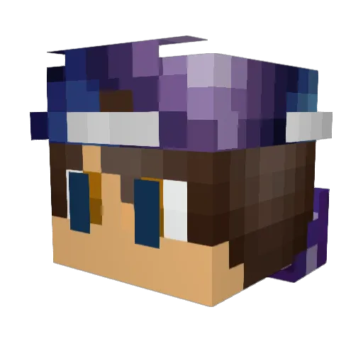 diamondking54 Minecraft avatar head, 3D render