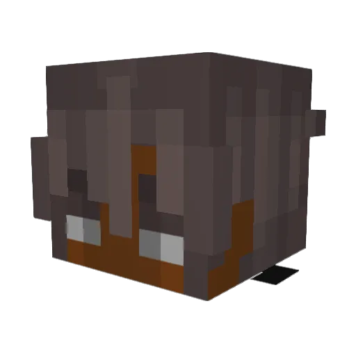 diamondman12567 Minecraft avatar head, 3D render