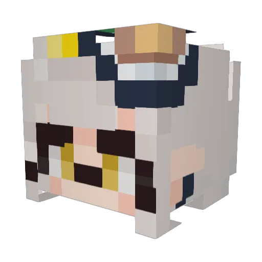 diamondman29 Minecraft avatar head, 3D render