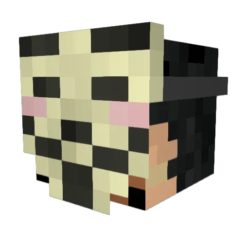 diamondmarksman1 Minecraft avatar head, 3D render