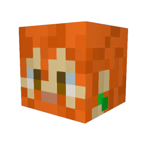 diamondninja100 Minecraft avatar head, 3D render