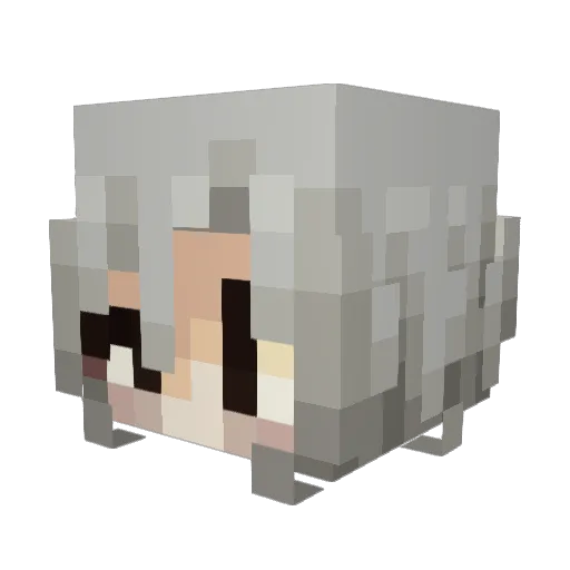diamondpaws Minecraft avatar head, 3D render