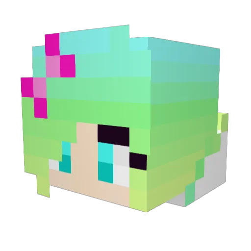 diamondpick305 Minecraft avatar head, 3D render