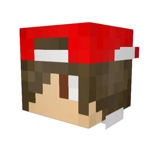 diamondpicker13 Minecraft avatar head, 3D render