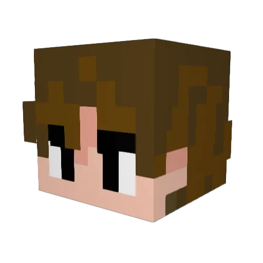 diamondpig82 Minecraft avatar head, 3D render