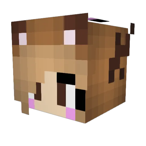 diamonds590 Minecraft avatar head, 3D render