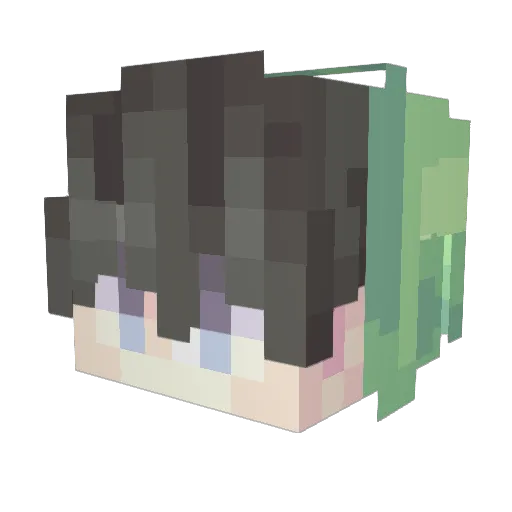 dian_mi Minecraft avatar head, 3D render