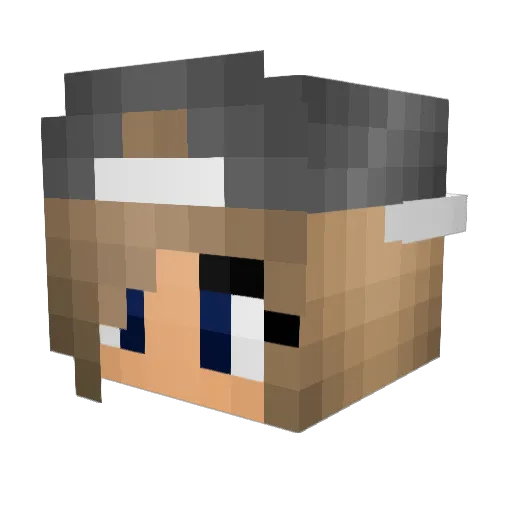 dianaross123 Minecraft avatar head, 3D render
