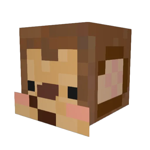 dianny_ Minecraft avatar head, 3D render