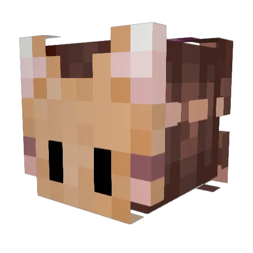 diaposia Minecraft avatar head, 3D render