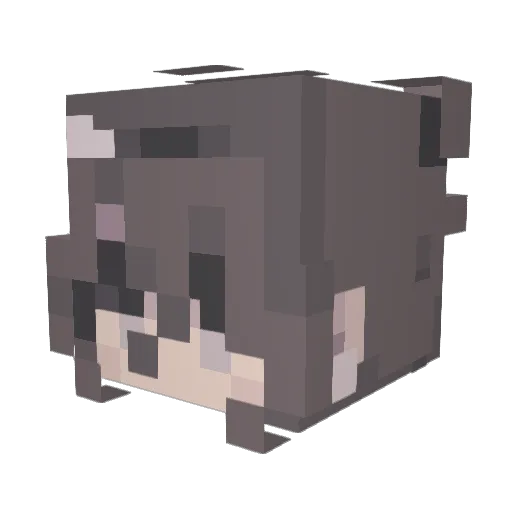 diaryplug Minecraft avatar head, 3D render