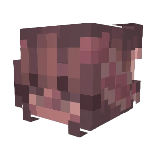 dibidibidoo Minecraft avatar head, 3D render