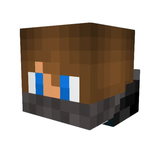 dibo03 Minecraft avatar head, 3D render