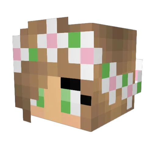 dicko121 Minecraft avatar head, 3D render