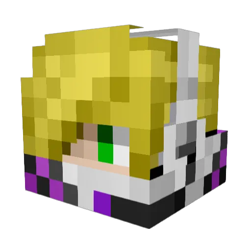 dictionarybug Minecraft avatar head, 3D render