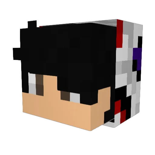 dictionry Minecraft avatar head, 3D render