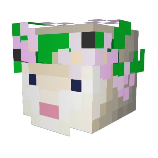 did_juneau Minecraft avatar head, 3D render