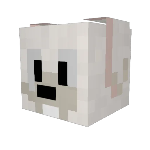 diddy0912 Minecraft avatar head, 3D render