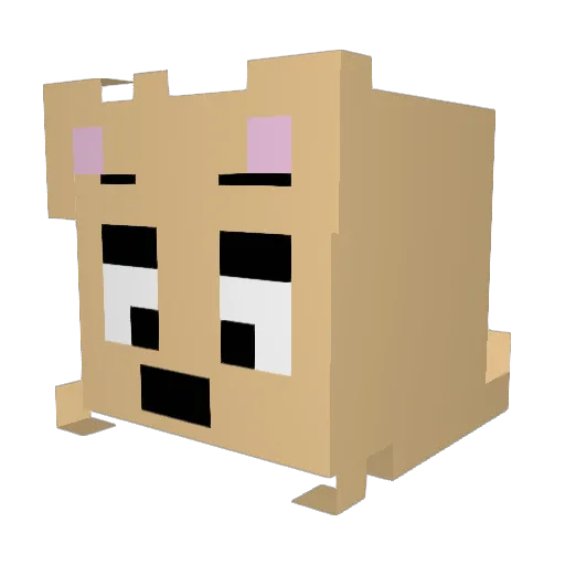 diddybagel Minecraft avatar head, 3D render