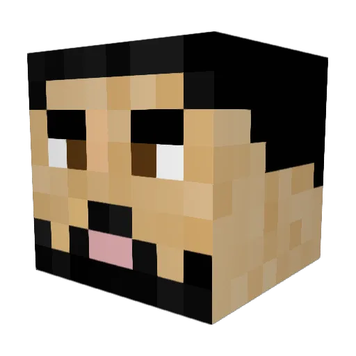 diddydisciple Minecraft avatar head, 3D render