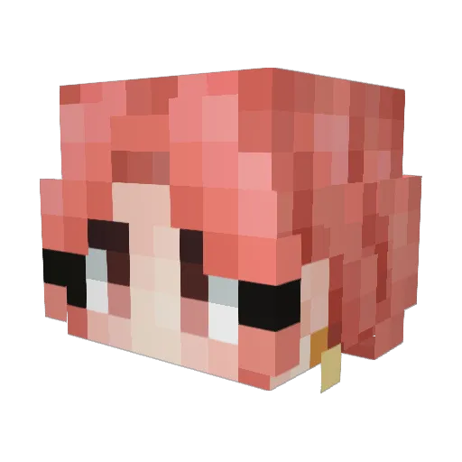 diddynga67 Minecraft avatar head, 3D render