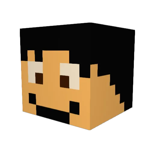 didi1943 Minecraft avatar head, 3D render