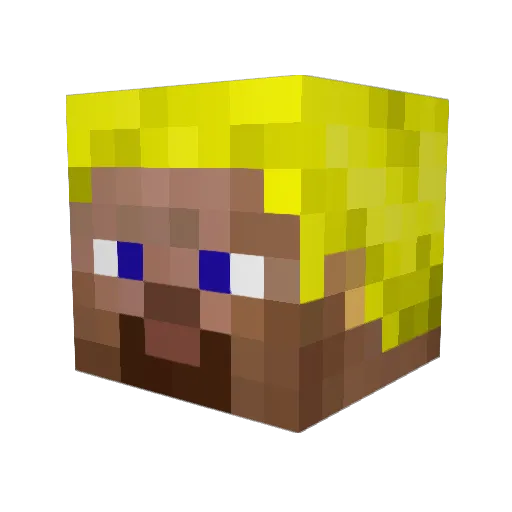 didi2012 Minecraft avatar head, 3D render