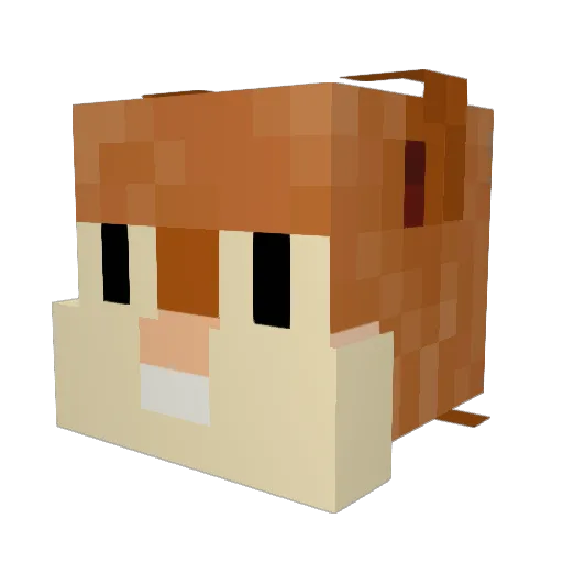 didi2134 Minecraft avatar head, 3D render