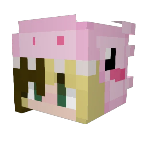 didiamor Minecraft avatar head, 3D render