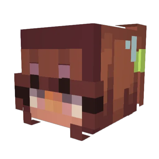 didibluebell Minecraft avatar head, 3D render