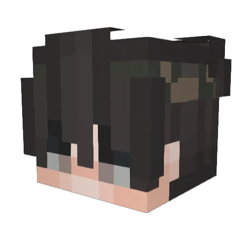 didifaure Minecraft avatar head, 3D render