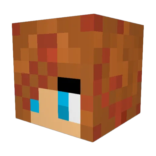 didine2106 Minecraft avatar head, 3D render