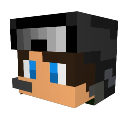 didwldbs12 Minecraft avatar head, 3D render