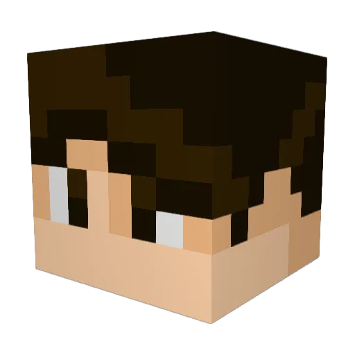 dieFlunder98 Minecraft avatar head, 3D render