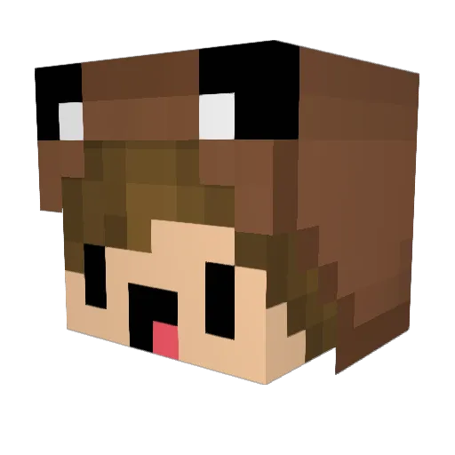 die_ene_vriend Minecraft avatar head, 3D render