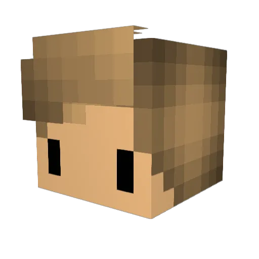 diegoo1337 Minecraft avatar head, 3D render