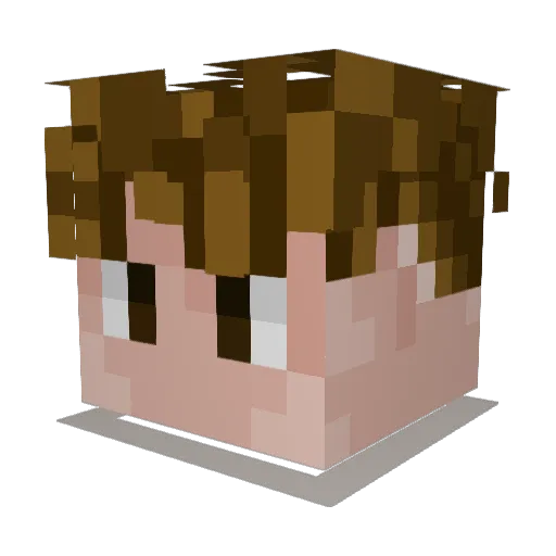 diegox300xd Minecraft avatar head, 3D render