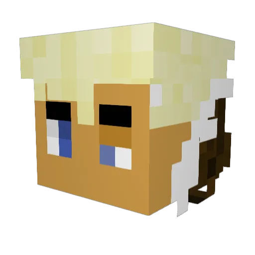 diesal2199 Minecraft avatar head, 3D render