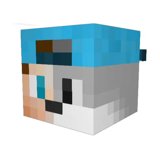 diesermarius_ Minecraft avatar head, 3D render