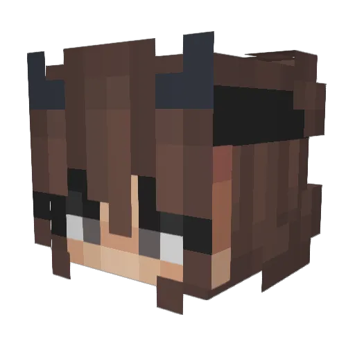 dietellie Minecraft avatar head, 3D render