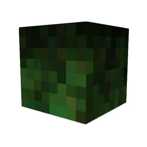 dietillyoulive Minecraft avatar head, 3D render