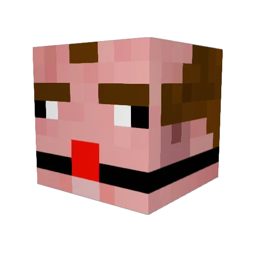 dieweissemaska Minecraft avatar head, 3D render