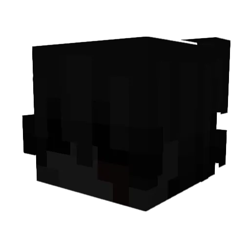 differentts Minecraft avatar head, 3D render
